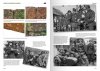 AK Interactive AK130008 WAFFEN-SS CAMOUFLAGE UNIFORMS BY WERNER PALINCKX ( English )